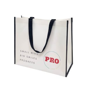 PP Non-woven Shopping Bag – PPNW04